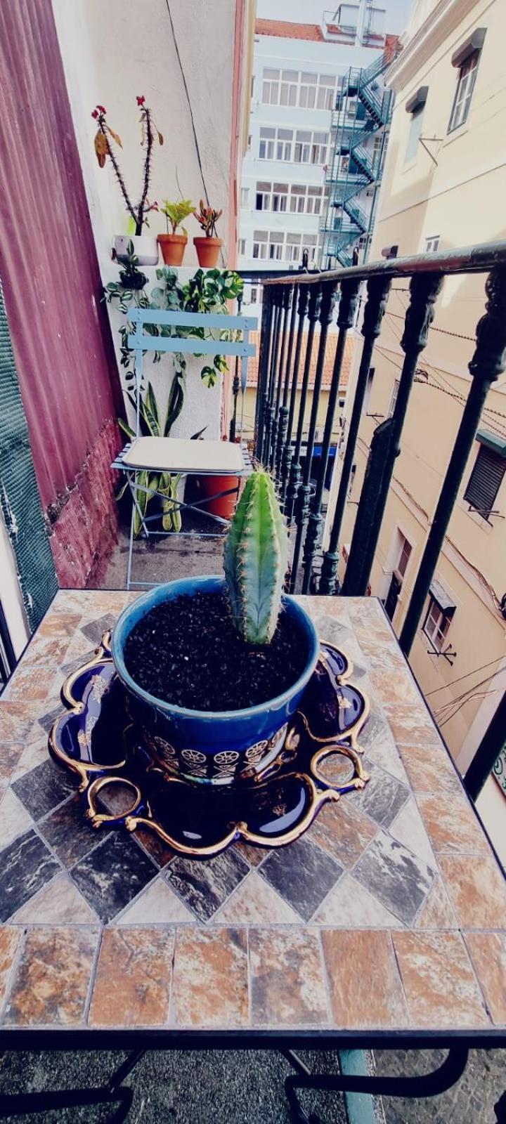 ליסבון Charming Central Apartment To Rent מראה חיצוני תמונה